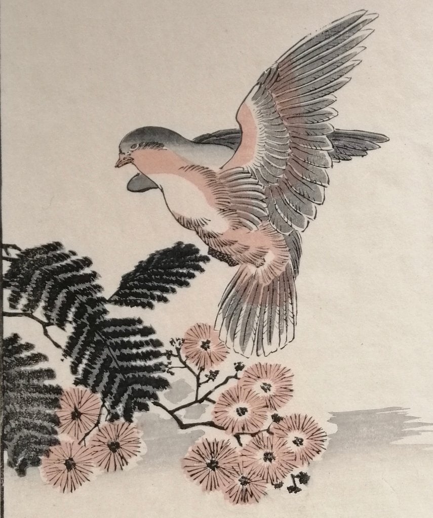 Japanse houtsnede van Kono Bairei - Vogel no. 4 Duif, Antiek en Kunst, 1800 - 1899, Ophalen of Verzenden, Flora en Fauna, Houtsnede