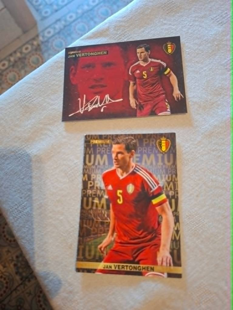 Panini / 2 Voetbalkaarten / Jan Vertonghen / Rode Duivels, Verzenden, Zo goed als nieuw, Overige sporten, Spelerskaart