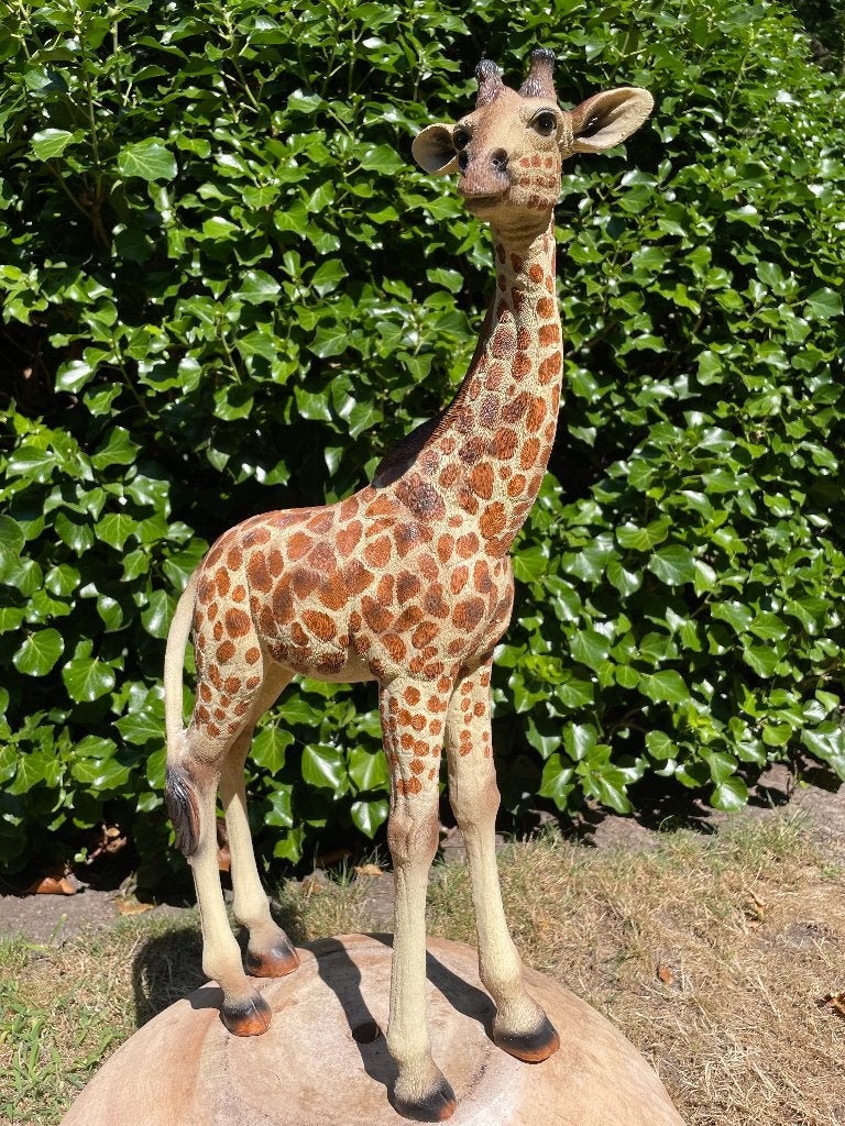 Giraf staand, tuin, woonkamer, dierentuin 55cm, Ophalen, Nieuw, Kunststof, Dierenbeeld