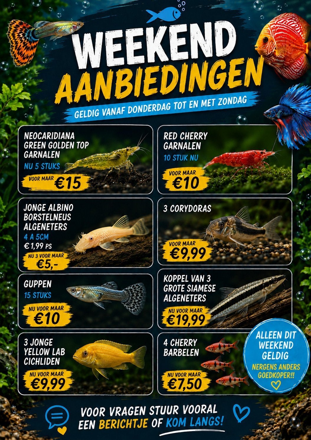 Weekend sale aquarium vissen, Dieren en Toebehoren, Vissen | Aquariumvissen, Vis