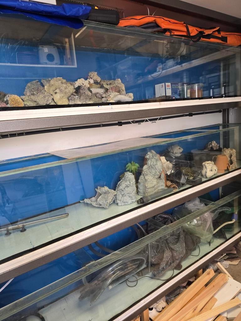 3x groot volglas aquarium 250x40x40, Ophalen, Leeg aquarium