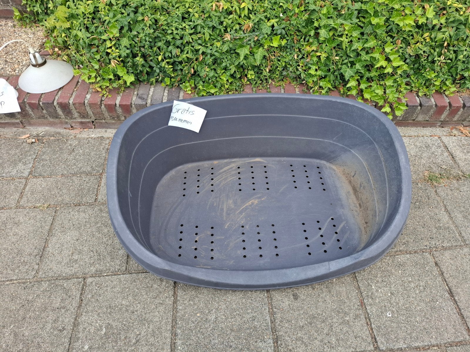 Gratis honden mand, Ophalen of Verzenden