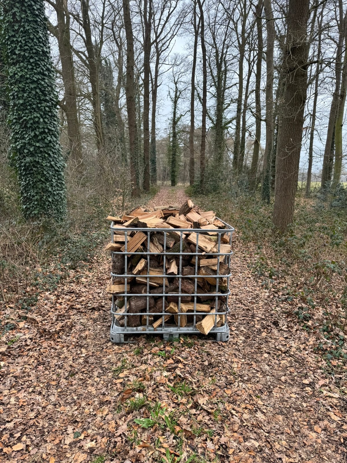 Kachelhout Mix Eik, Es en Beuk | 1,2 m³ | €152 per 1.2m³, Tuin en Terras, Haardhout, Minder dan 3 m³, Ophalen, Eikenhout, Blokken