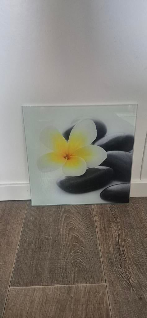 Glazen wanddecoratie: Frangipani bloem op stenen, Minder dan 50 cm, Ophalen of Verzenden, Minder dan 50 cm, Print