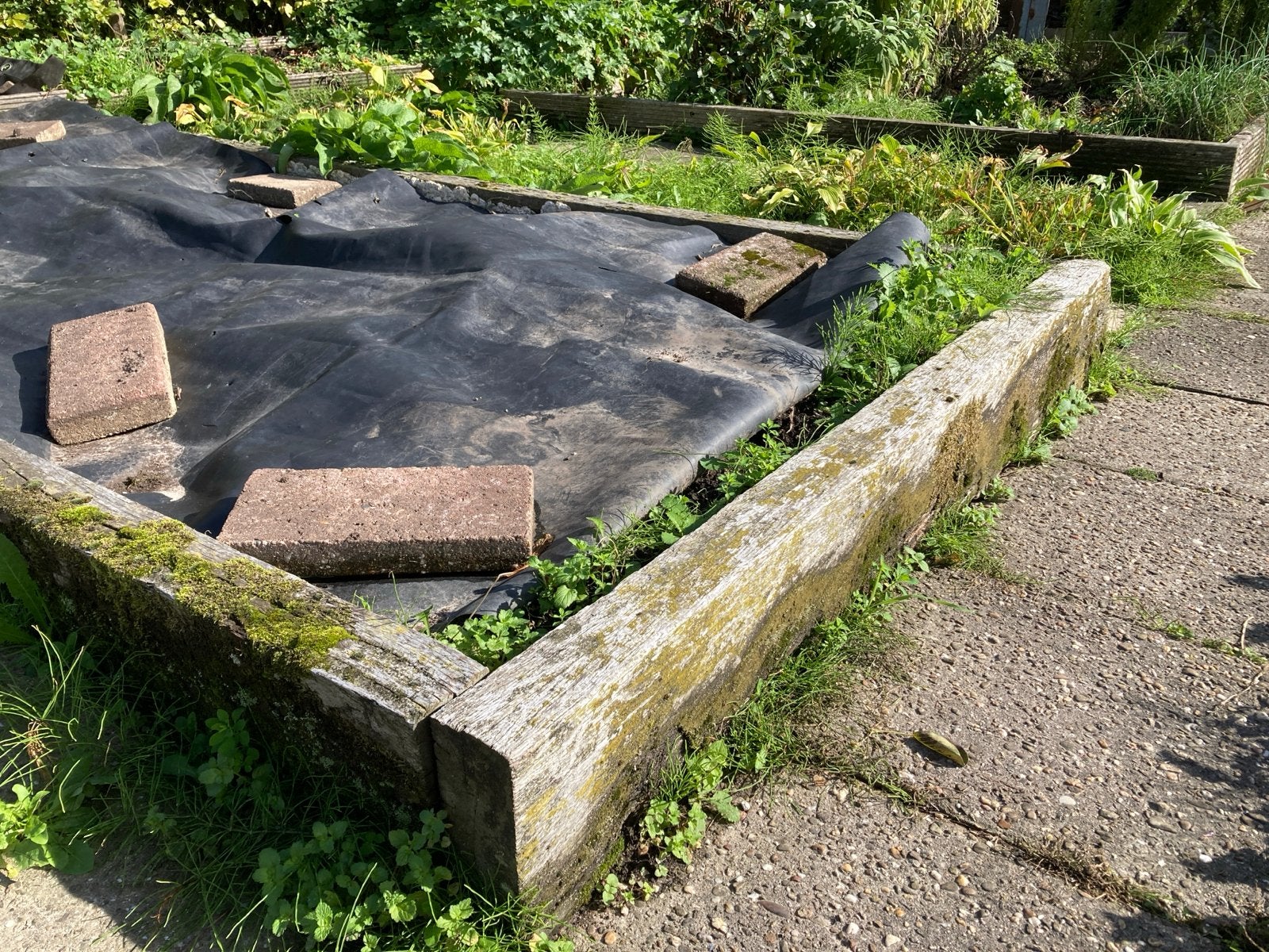 Hard houten balken, Ophalen, Gebruikt, Hardhout, 250 cm of meer