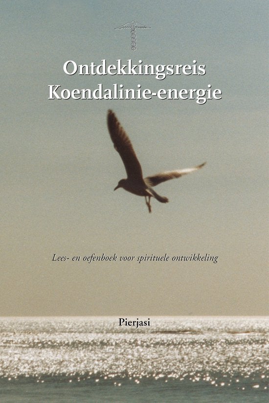 ontdekkingsreis kundalinie-energie, Boeken, Ophalen of Verzenden, Zo goed als nieuw, Spiritualiteit algemeen, Overige typen