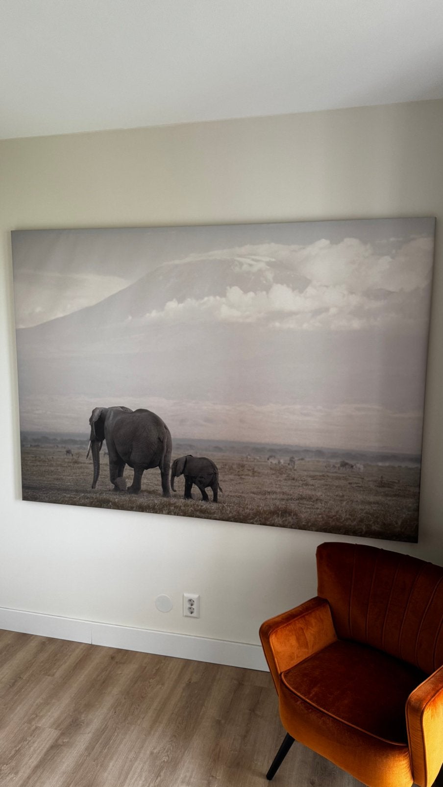 Groot canvas 140x200cm olifanten IKEA, Ophalen, Zo goed als nieuw, 125 cm of meer, Schilderij