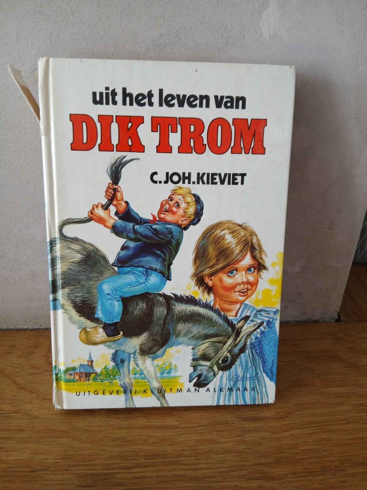 boek dik trom, Ophalen of Verzenden, Gelezen