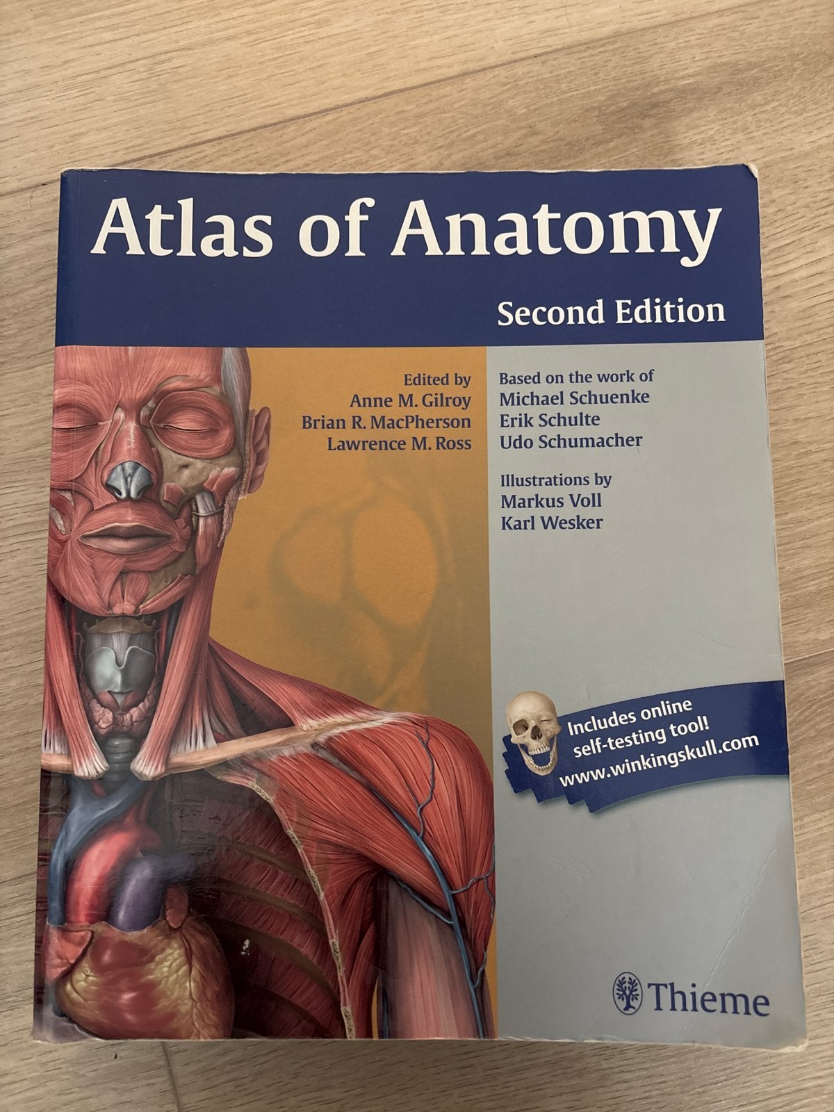 Atlas of Anatomy - Anatomische atlas - 2e Edition (Thieme), Boeken, Ophalen of Verzenden, Beta, Zo goed als nieuw, HBO