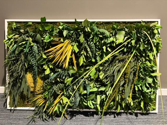 Plantenwand, Ophalen, Groen, 60 cm, Decoratieobject