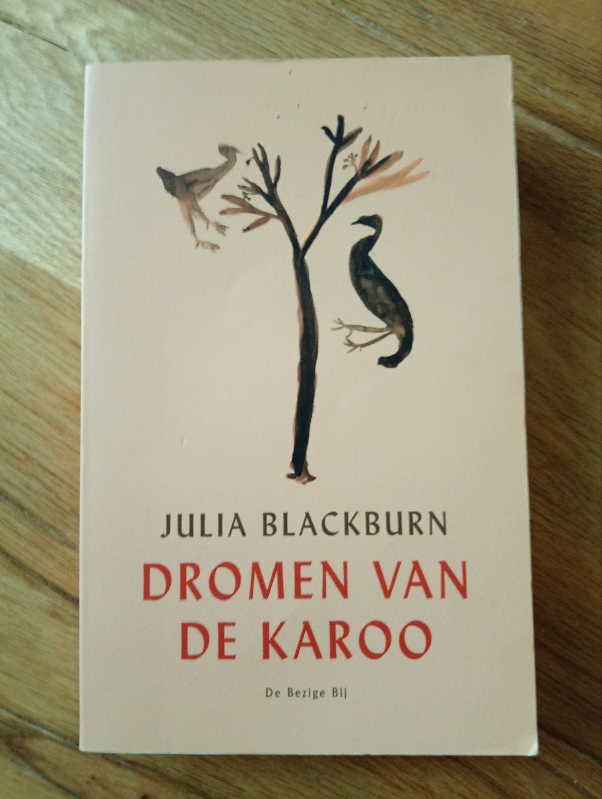 Dromen van de Karoo - Julia Blackburn (Boek), Gelezen, Europa overig, Ophalen of Verzenden, Julia Blackburn