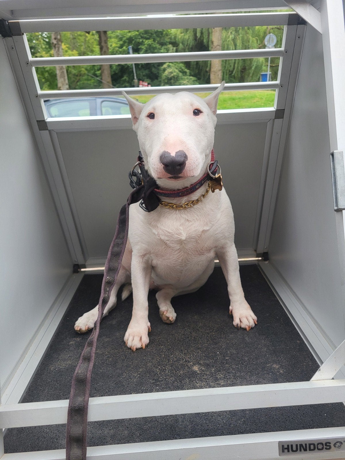 Auto honden bench merk Hundos met slot, Dieren en Toebehoren, Hondenbenches, Ophalen
