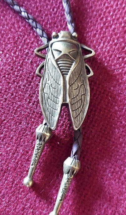 Vintage Bolo Tie met Cicade Design, Ophalen of Verzenden, Zo goed als nieuw, Met patroon, Onbekend