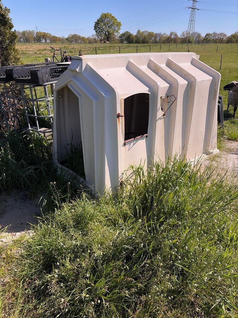 Kalveriglo / Schapenschuilhok, Dieren en Toebehoren