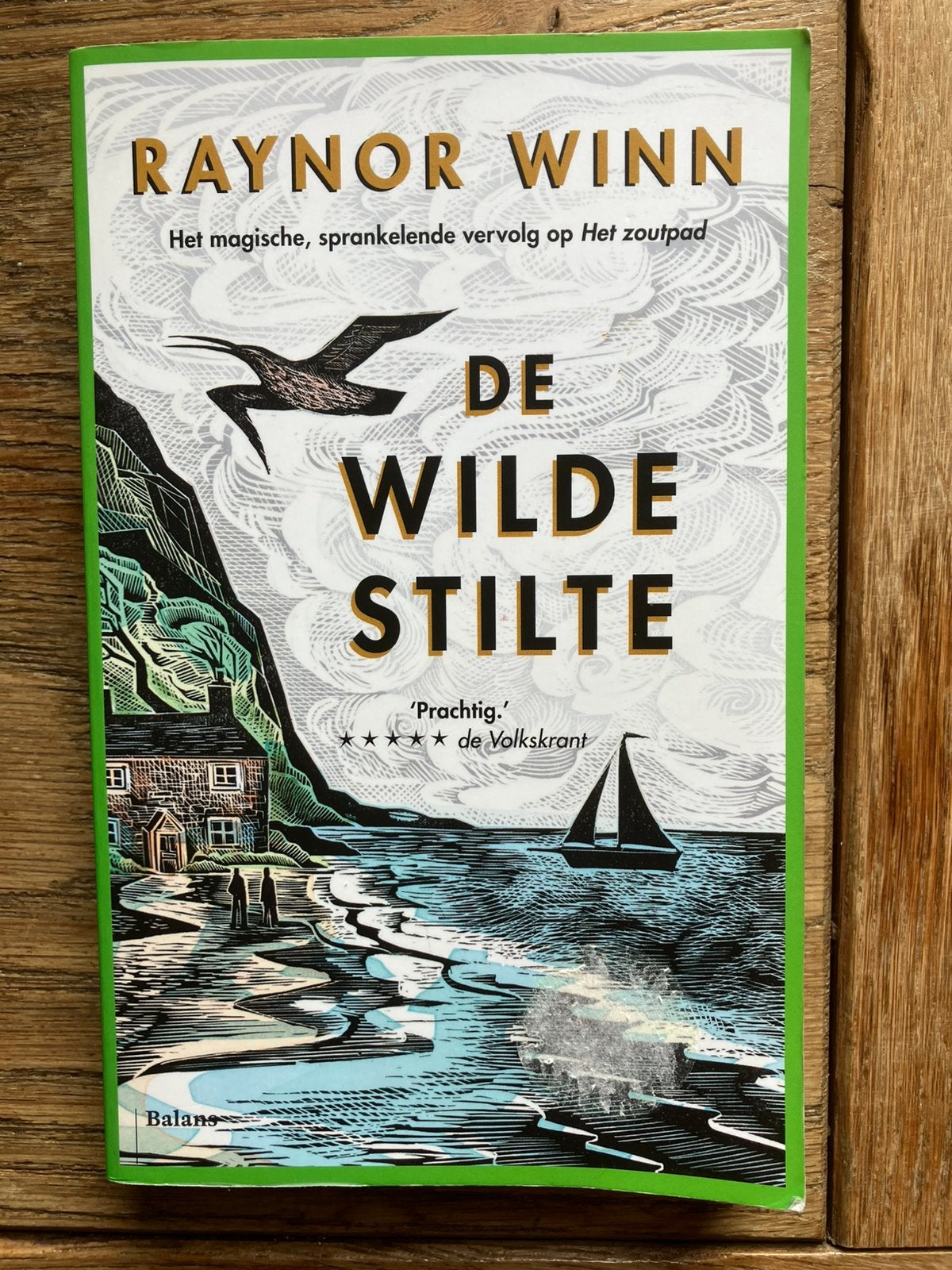 Raynor Winn - De wilde stilte, Boeken, Ophalen of Verzenden, Gelezen, Raynor Winn