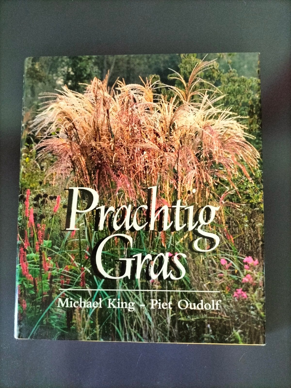Prachtig gras van Michael King en Piet Oudolf, Boeken, Ophalen, Zo goed als nieuw, Piet Oudolf Michael King, Tuinieren en Tuinplanten