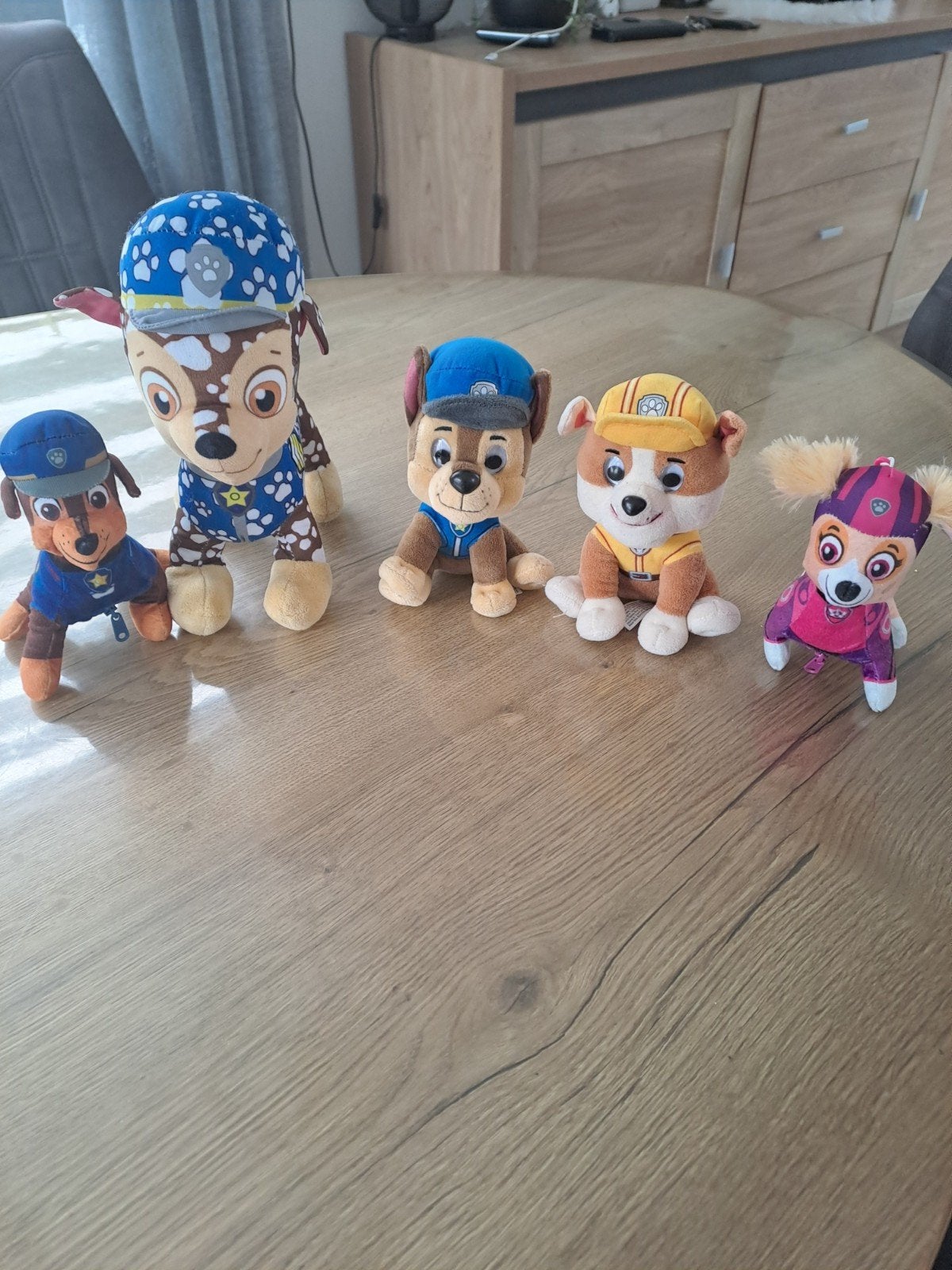 5 Paw Patrol knuffels, Ophalen of Verzenden