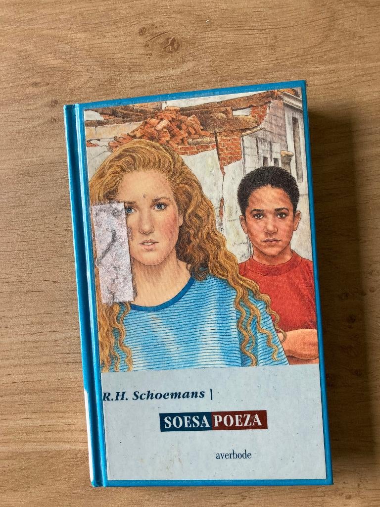 Boek R.H. Schoemans, Ophalen of Verzenden, Gelezen
