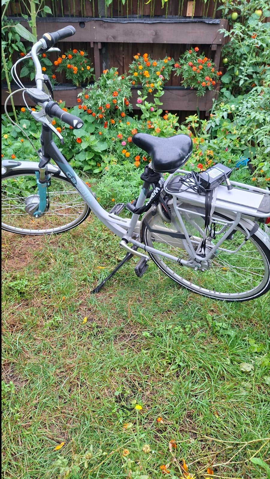 Gazelle Elektrische Fiets(Accu aan vervanging/revisie toe), Ophalen, Gebruikt, 55 tot 59 cm, Gazelle