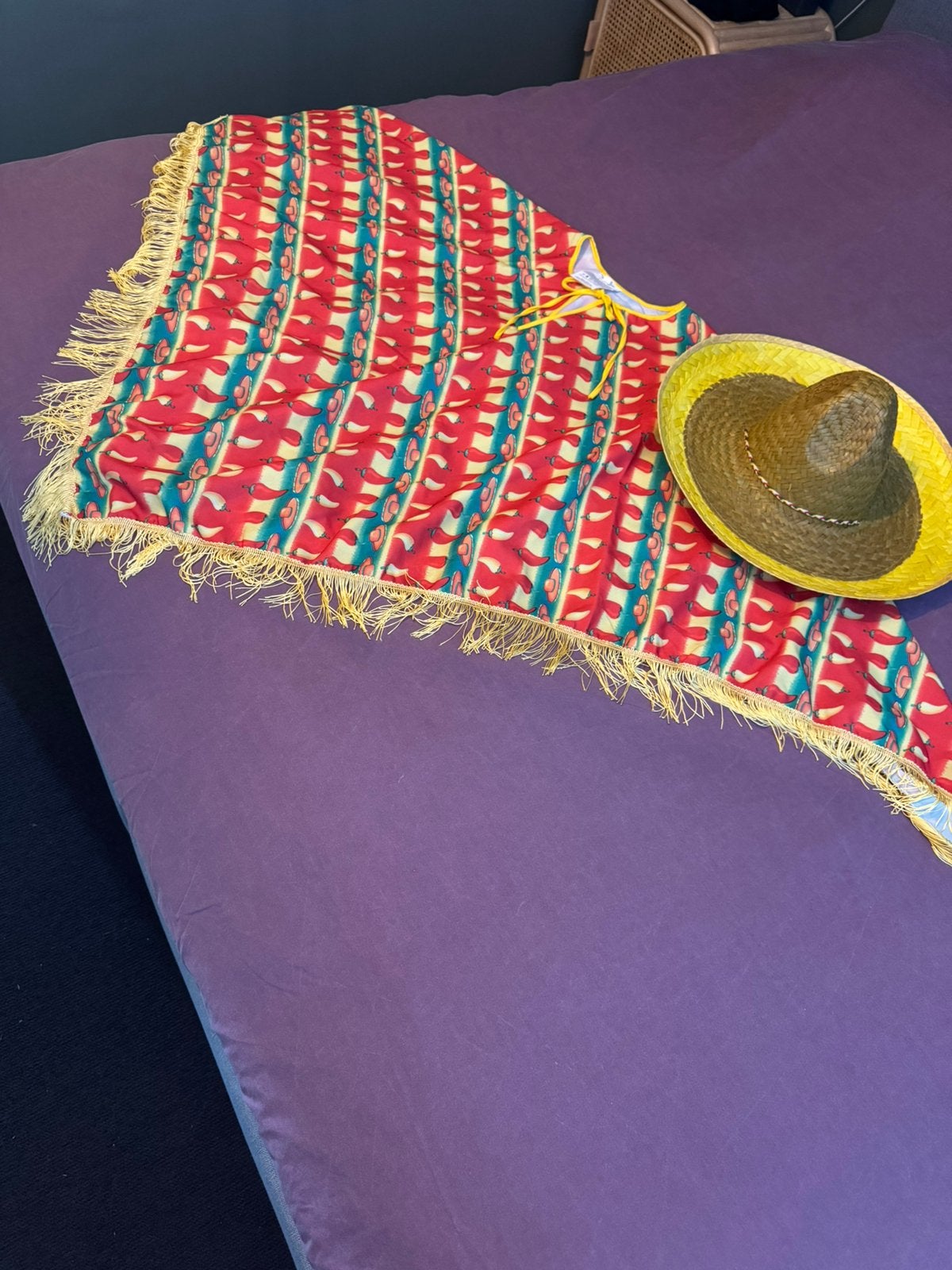 Poncho met sombrero, Ophalen of Verzenden, Zo goed als nieuw, Carnaval, Kleding