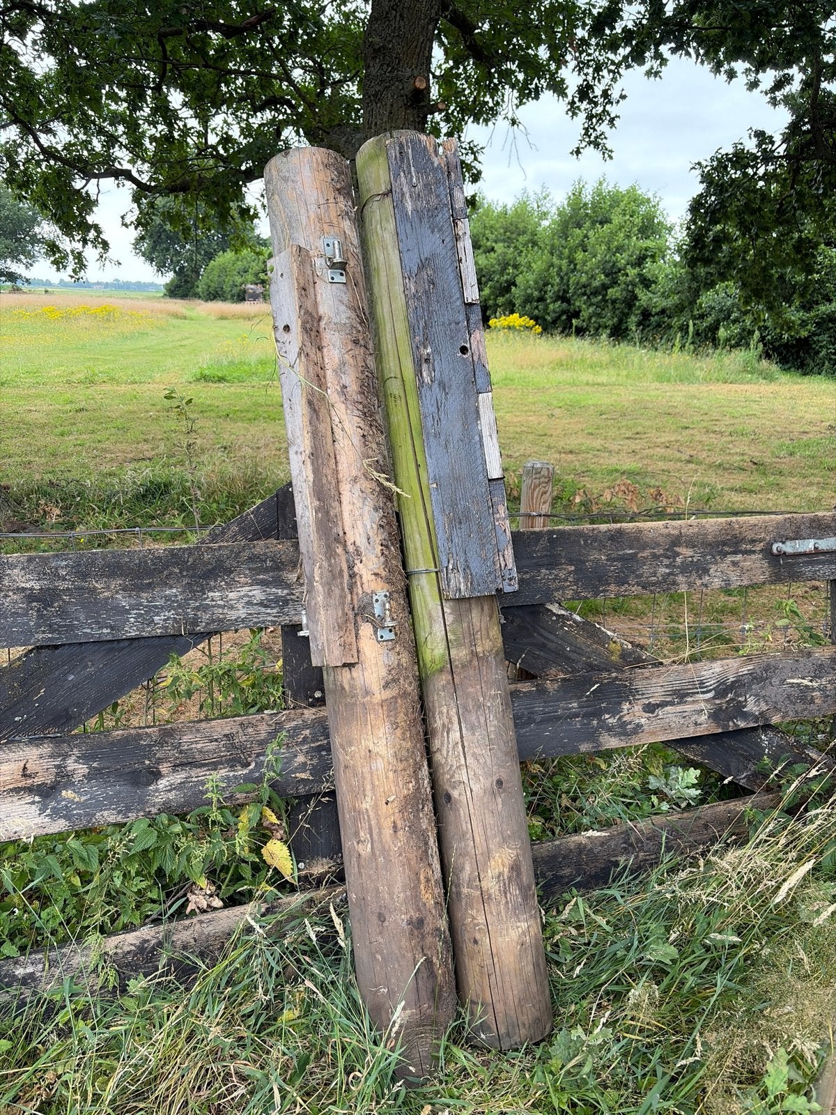 Gebruikte houten palen, ronde palen, Doe-het-zelf en Verbouw, Hout en Planken, Gebruikt, 200 tot 250 cm, 50 mm of meer, Balk