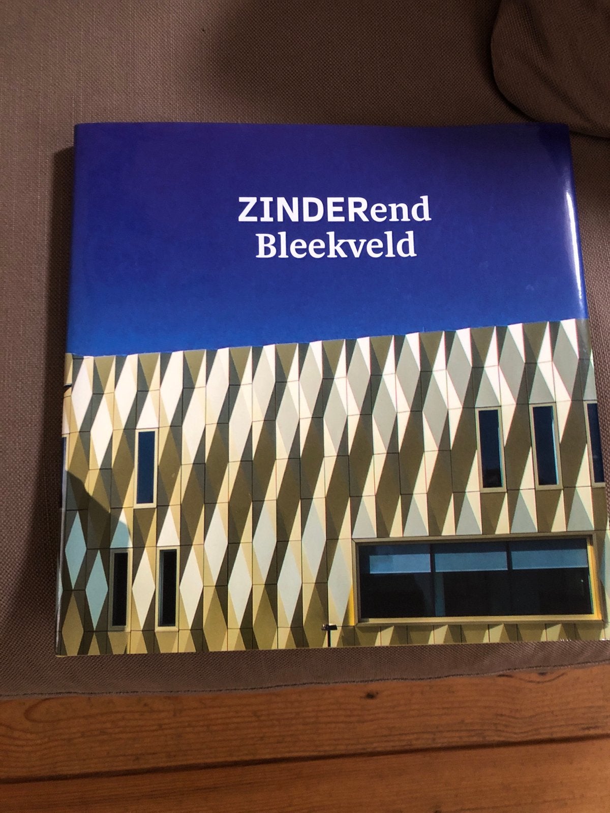 ZINDERend Bleekveld - Historisch boek over Tiel, Ophalen of Verzenden, 20e eeuw of later, Zo goed als nieuw