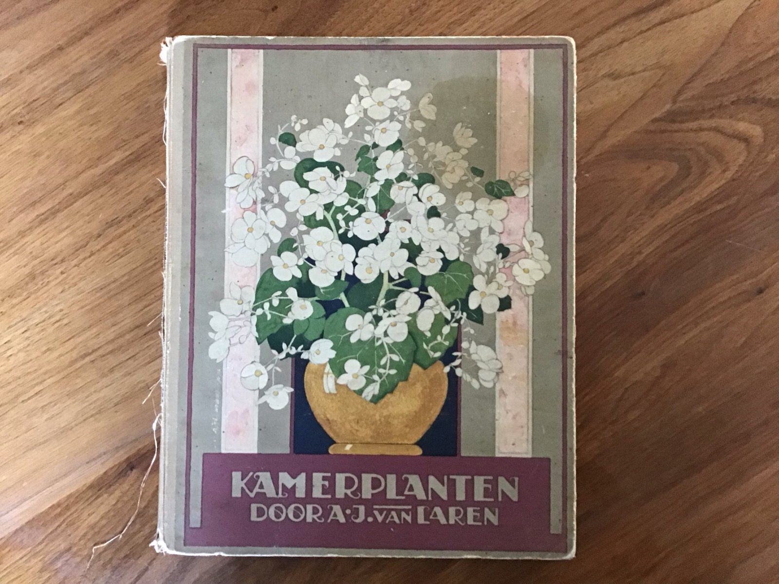 Verkade Albums: Kamerplanten (1928) & Vetplanten (1932), Ophalen of Verzenden, Gelezen, Bloemen, Planten en Bomen