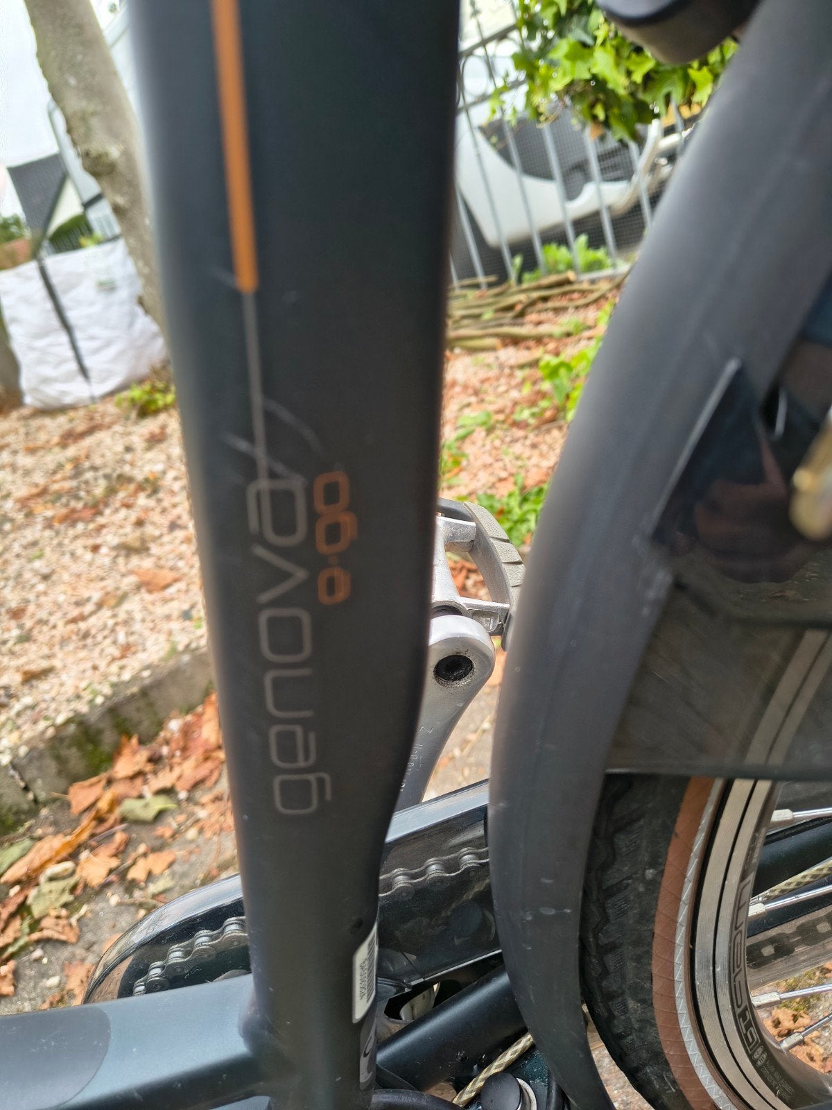 Foto 10 van Batavus Genova elektrische fiets