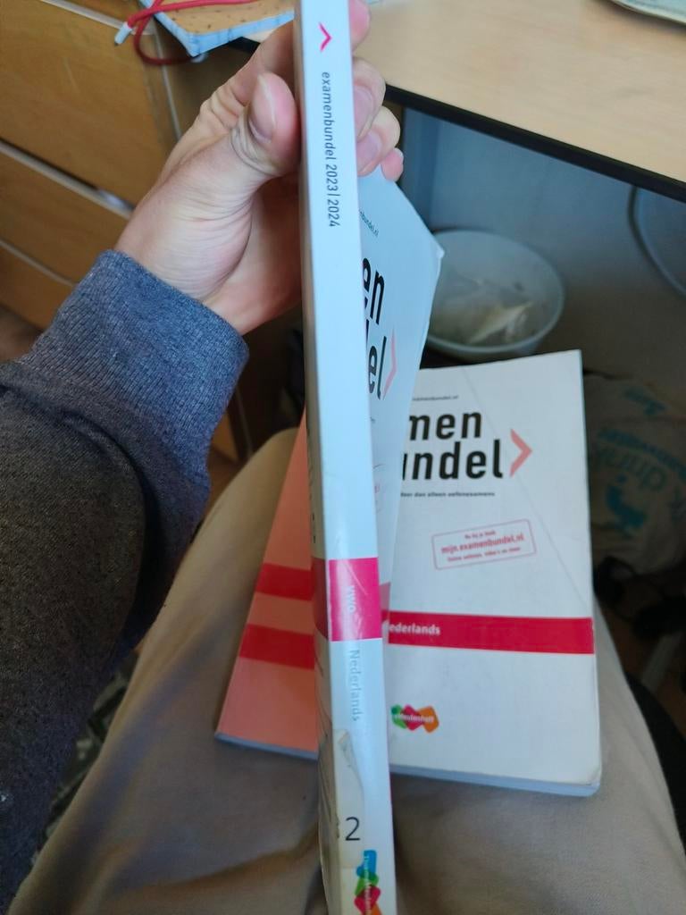 Examen bundel Nederlands vwo, Boeken, Ophalen of Verzenden, P. merkx, Alpha, WO