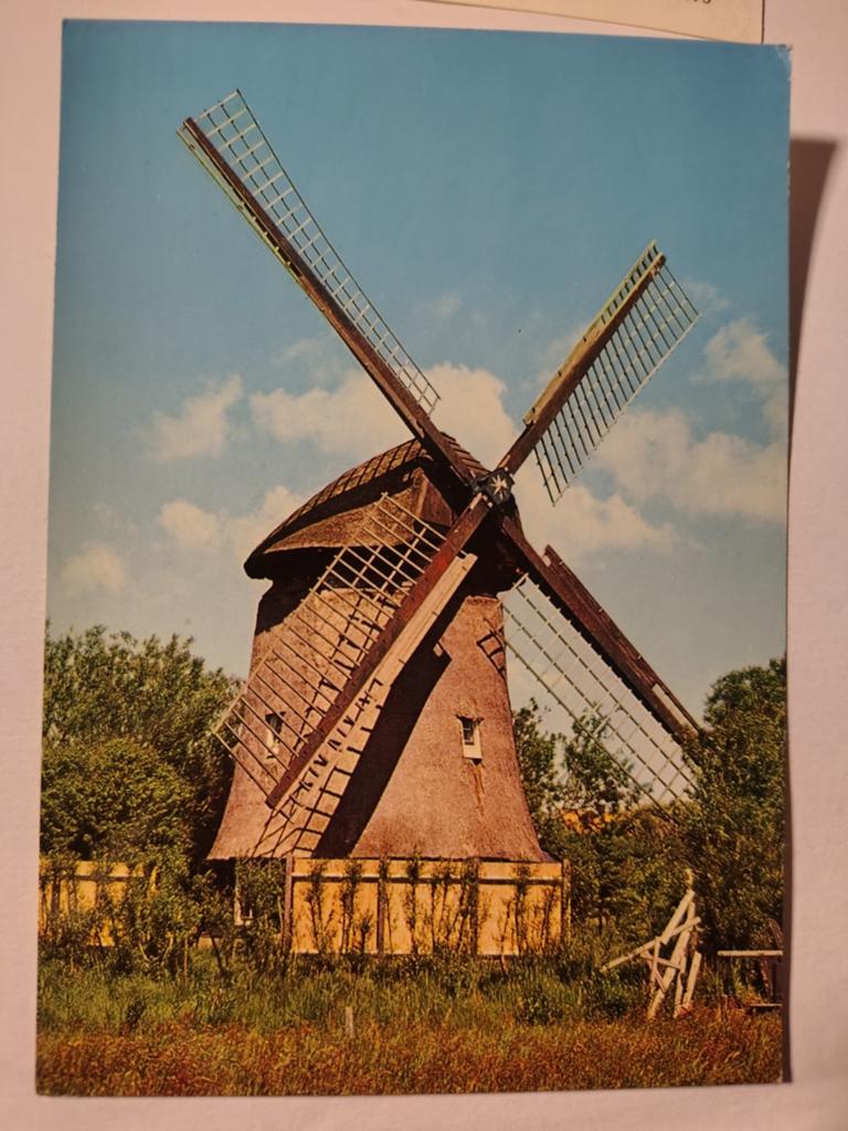 Bergen, Ophalen of Verzenden, Voor 1920, Noord-Holland
