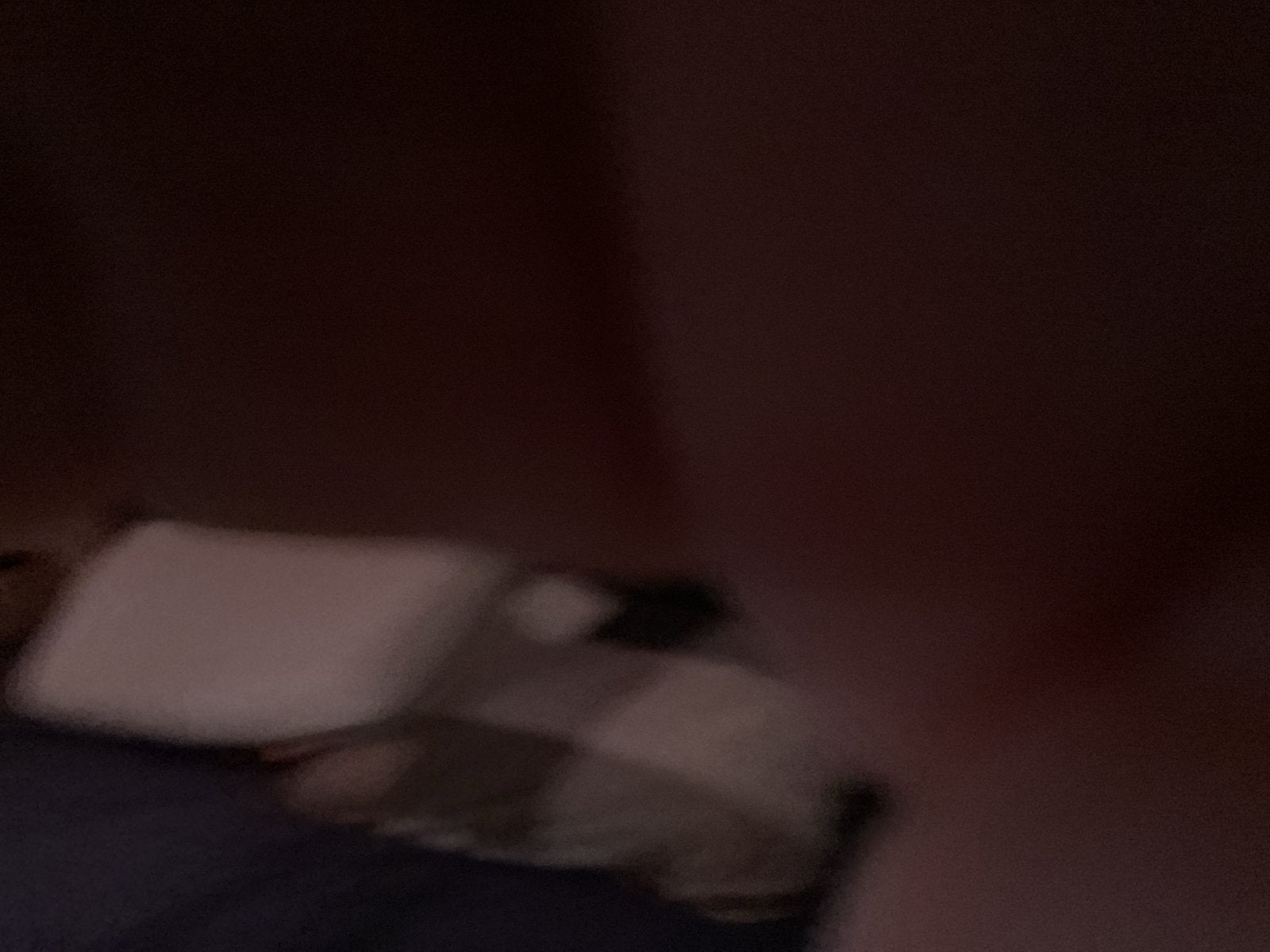 Foto, Ophalen of Verzenden, Gebruikt