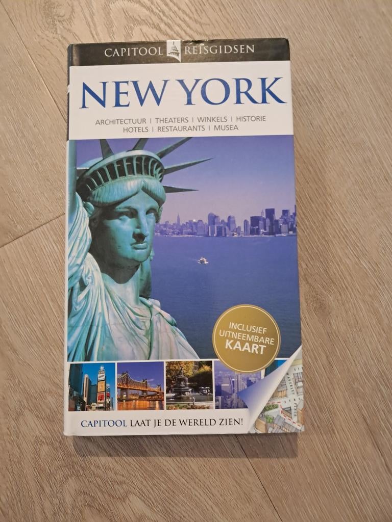 Lester Brooks - New York, Capitool, Ophalen of Verzenden, Zo goed als nieuw, Reisgids of -boek