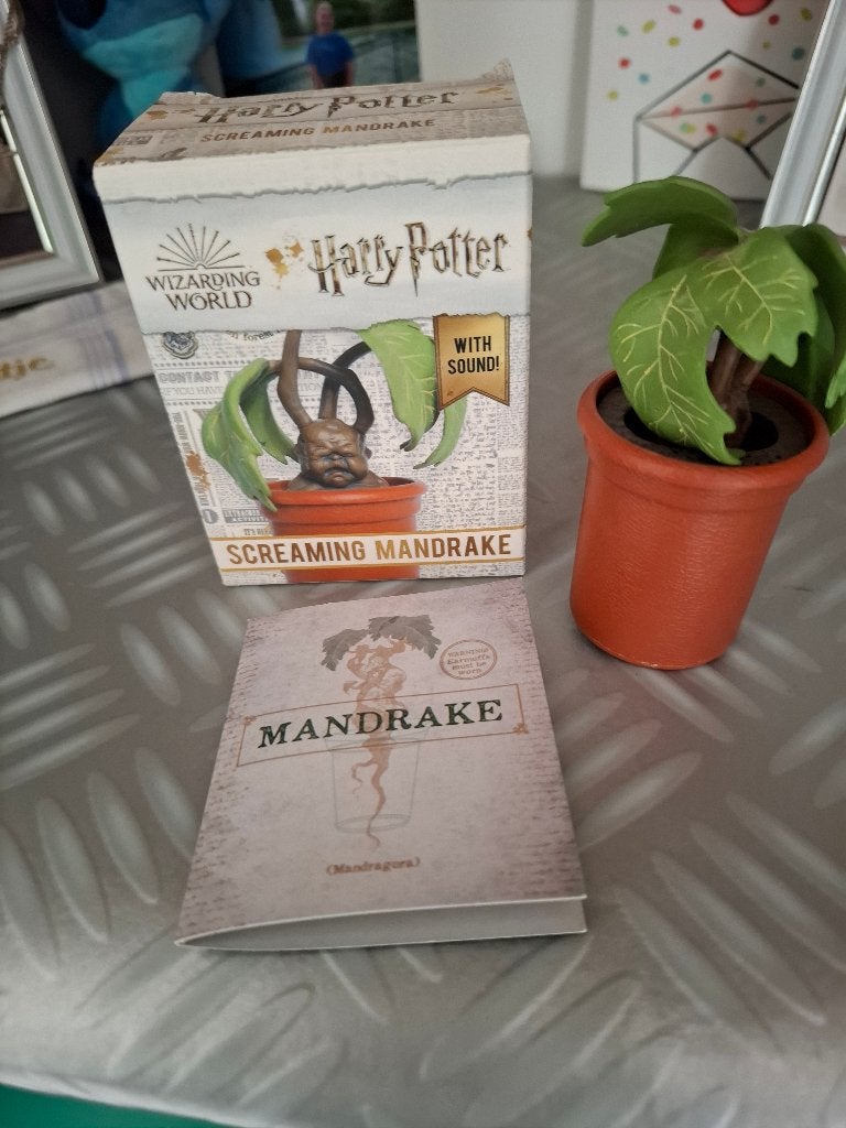 Diverse Harry Potter items te koop, leuk pakket!, Ophalen of Verzenden, Gebruikt, Overige typen
