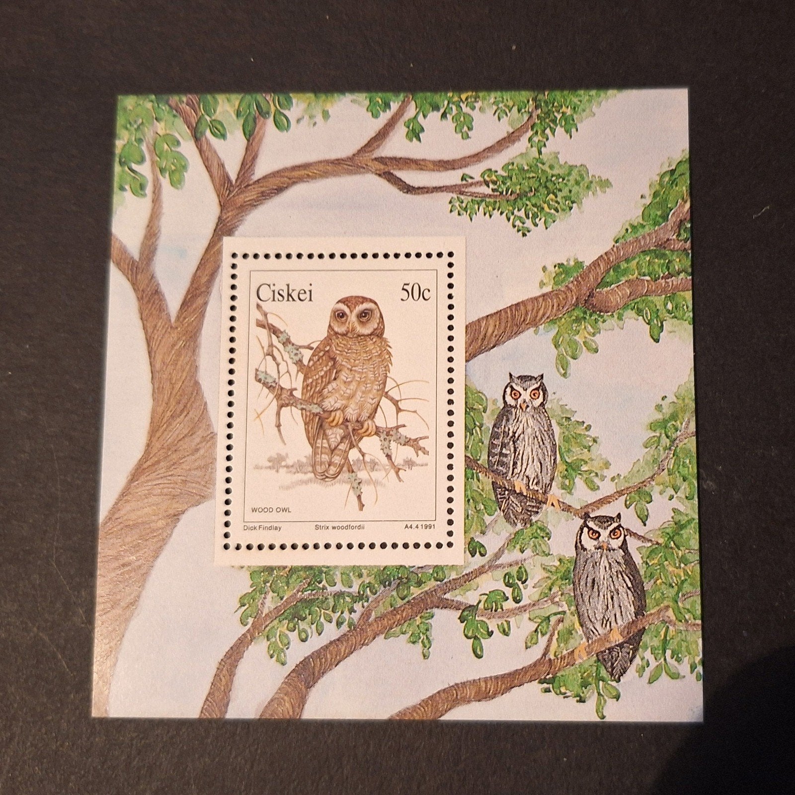 1991 CISKEI ** - blok uilen - postfris, Ophalen of Verzenden, Overige landen, Postfris