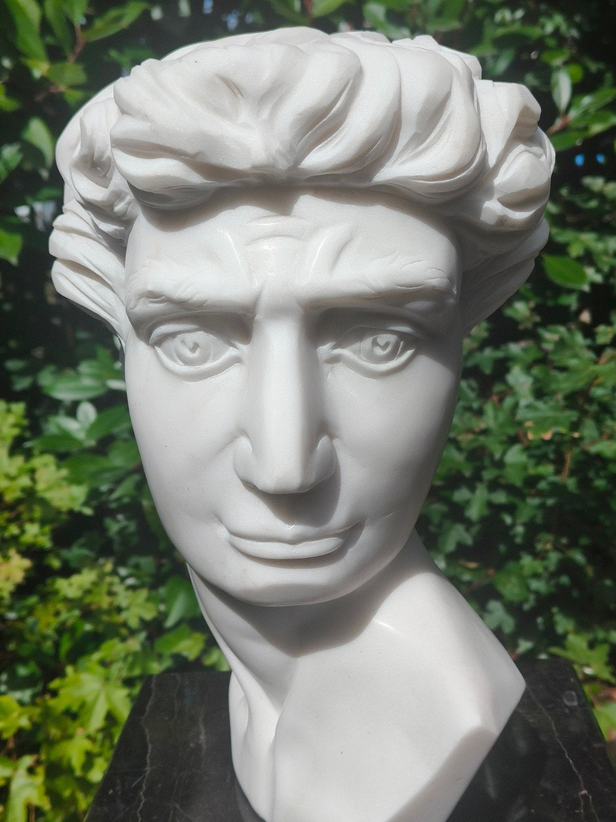 Massieve marmeren buste ‘David’ (Michelangelo), Ophalen