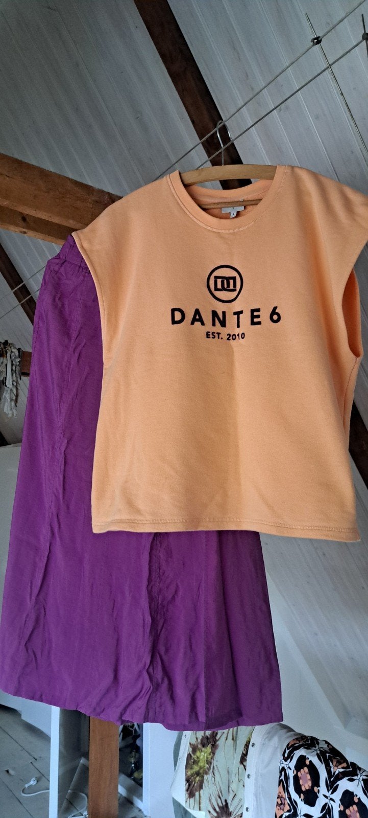 Dante 6, rok en shirt, Ophalen of Verzenden, Zo goed als nieuw, Maat 38/40 (M)