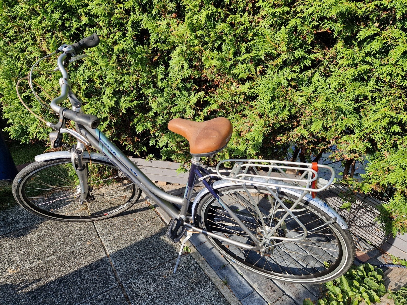 RALEIGH Dames fiets, Fietsen en Brommers, Ophalen of Verzenden, Gebruikt, Overige merken, Versnellingen