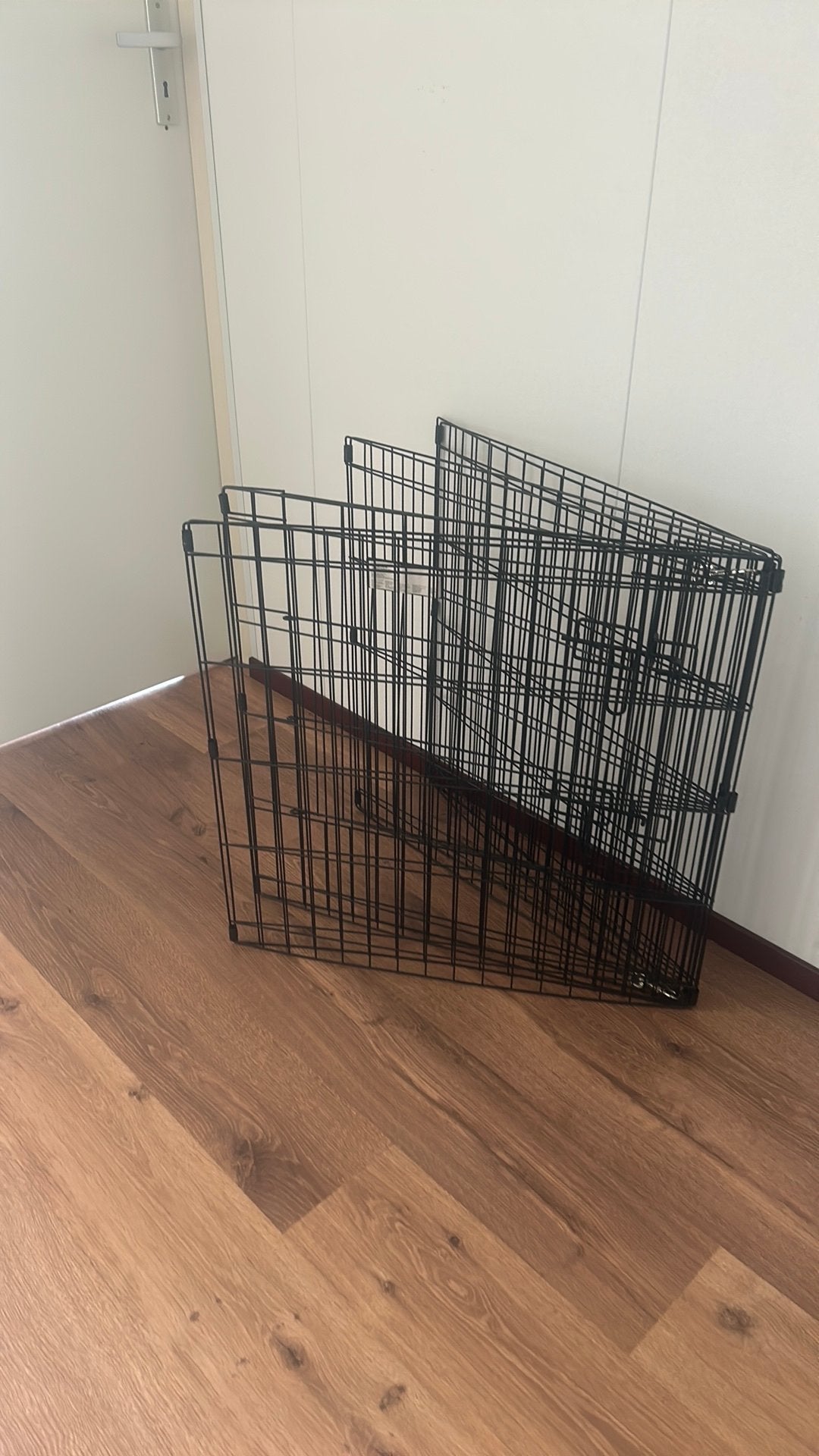 Puppy Ren, Ophalen, Zo goed als nieuw, Minder dan 75 cm, Minder dan 65 cm
