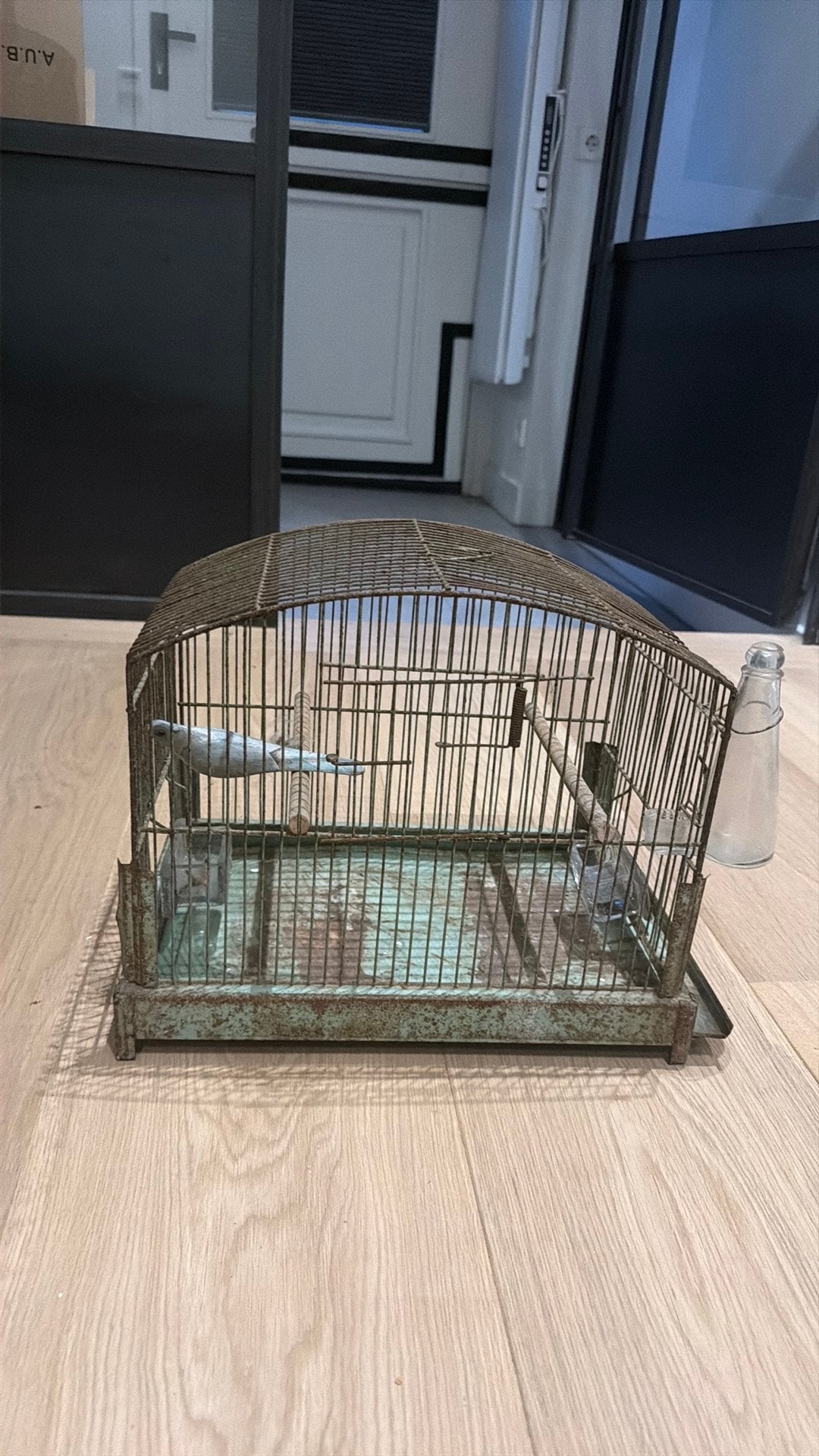 Vogelkooi antiek, Ophalen