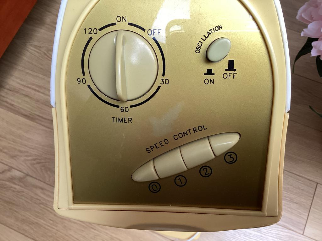 Staande ventilator met 3 standen en timer, Witgoed en Apparatuur, Ventilatoren, Gebruikt, Torenventilator, Ophalen of Verzenden