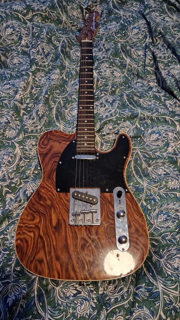 Fazley Elektrische Gitaar - Incl. Standaard, Ophalen