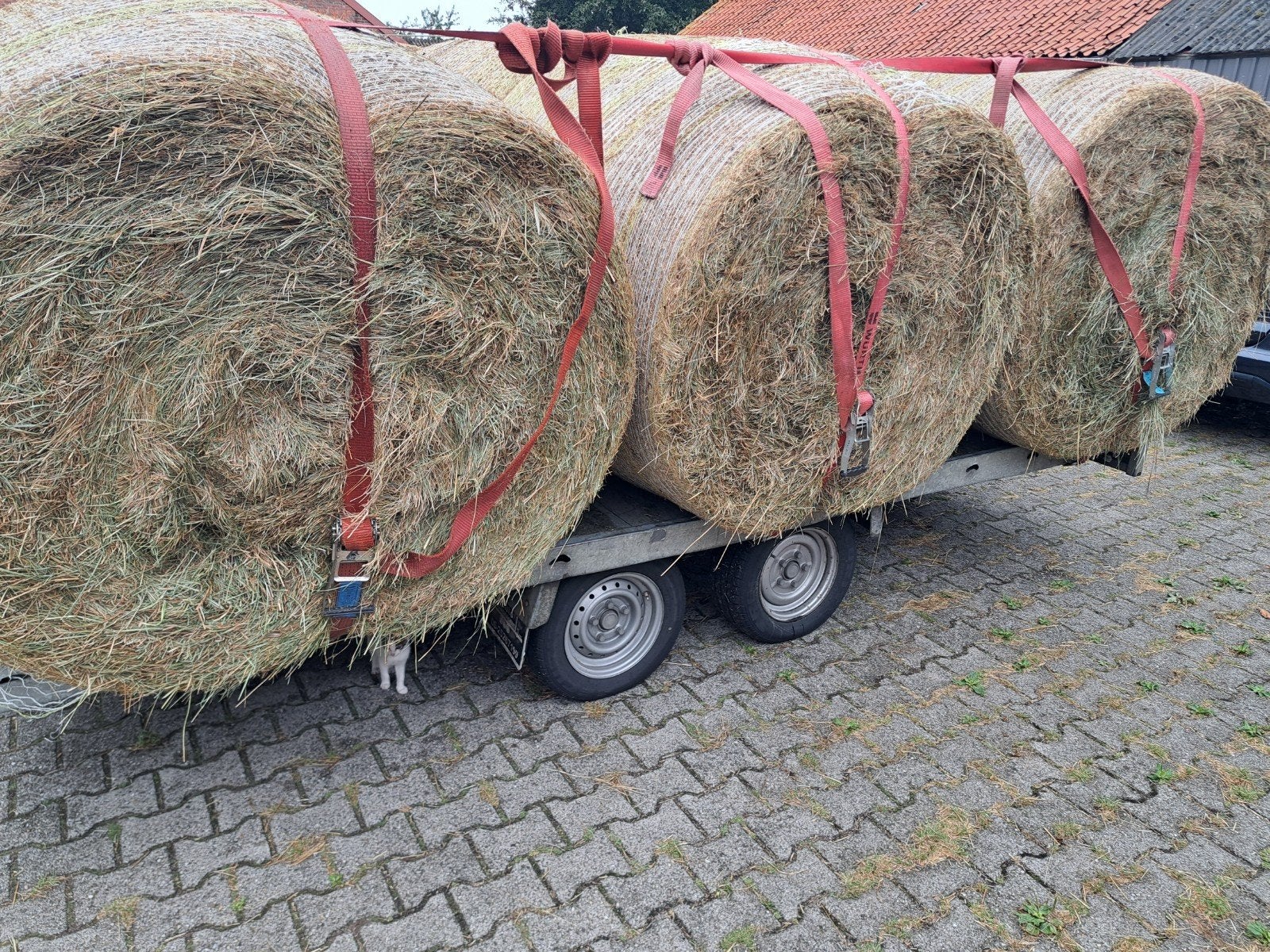 kruiden hooi  voor paarden, Ophalen of Verzenden