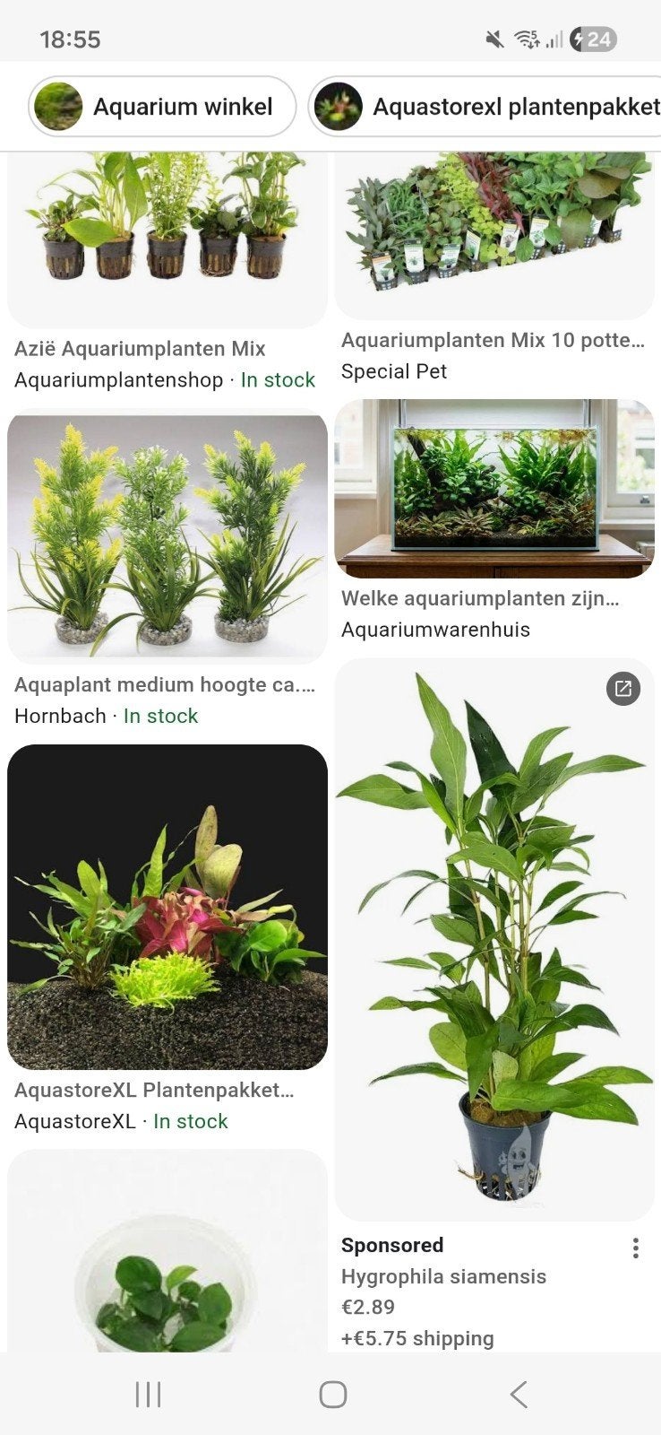 GRATIS Aquarium planten en mos gezocht!, Ophalen, Decoratie