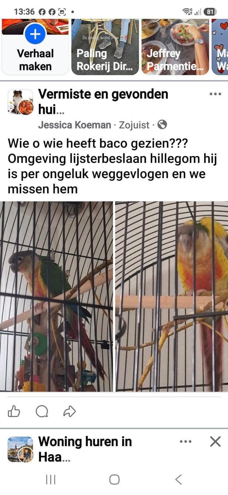 Vermist, Dieren en Toebehoren