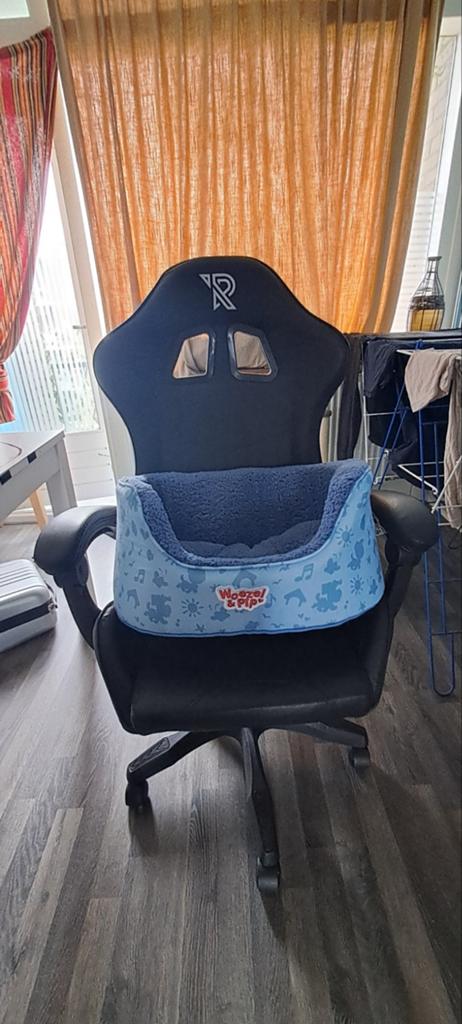 Katten honden mand (woezel en pip), Ophalen, Nieuw
