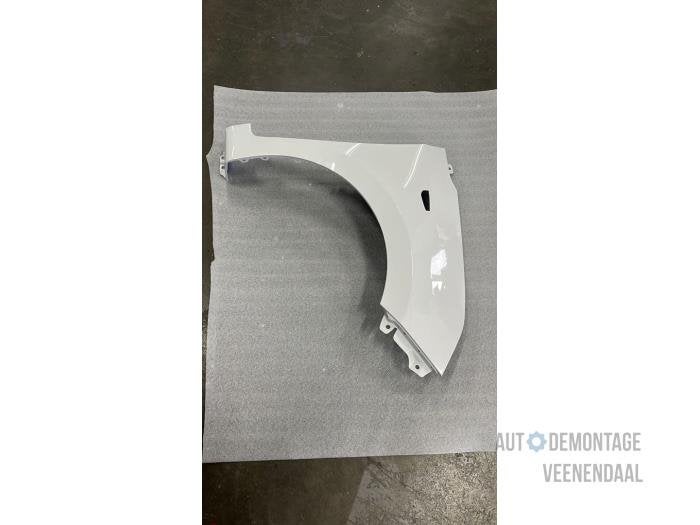 Scherm rechts-voor van een Hyundai I10 (PJW), Auto-onderdelen, -, -, Nieuw, Ophalen of Verzenden