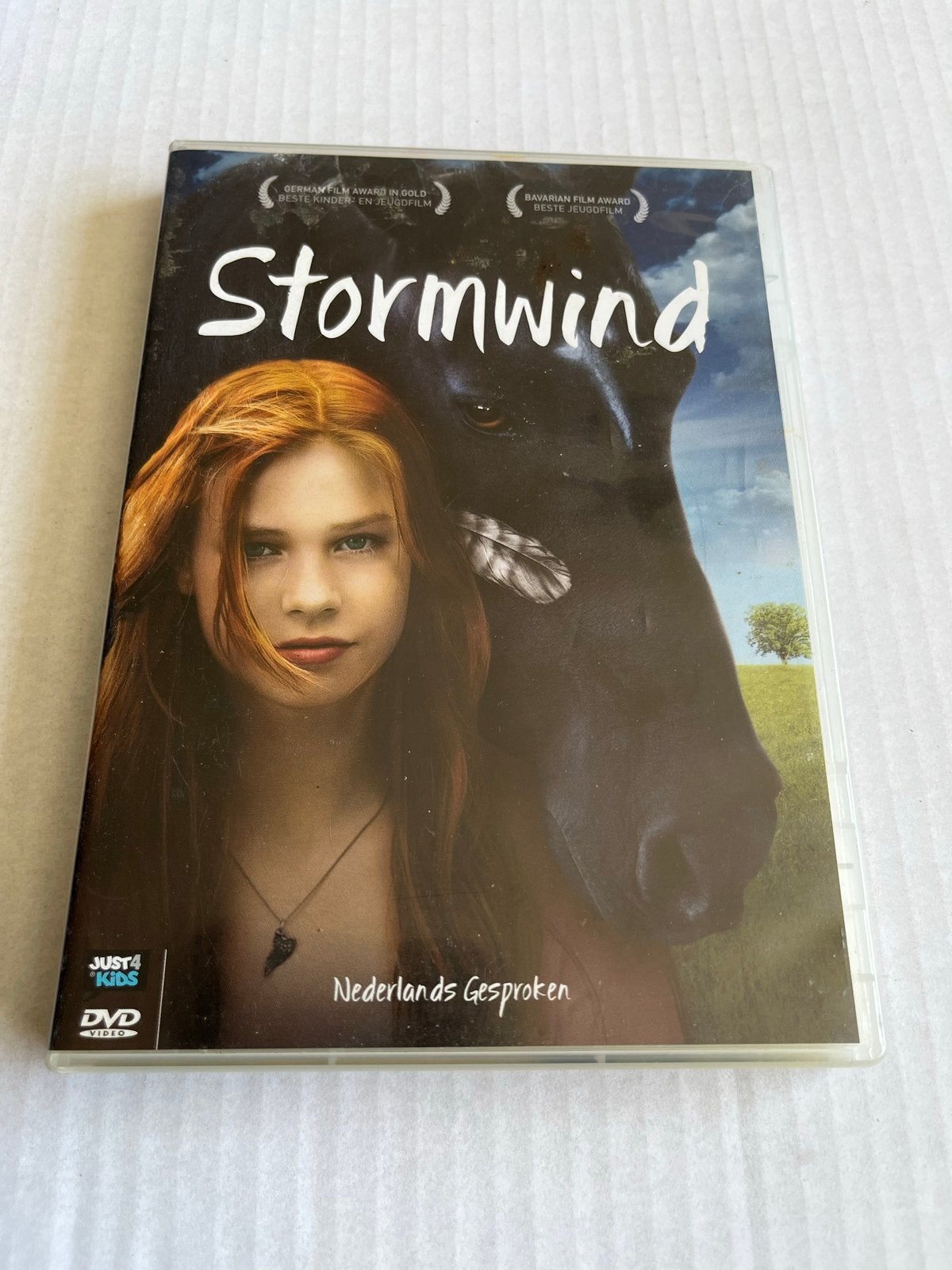 Stormwind DVD, Cd's en Dvd's, Dvd's | Kinderen en Jeugd, Gebruikt, Film, Familie, Alle leeftijden, Nederlands, Ophalen of Verzenden