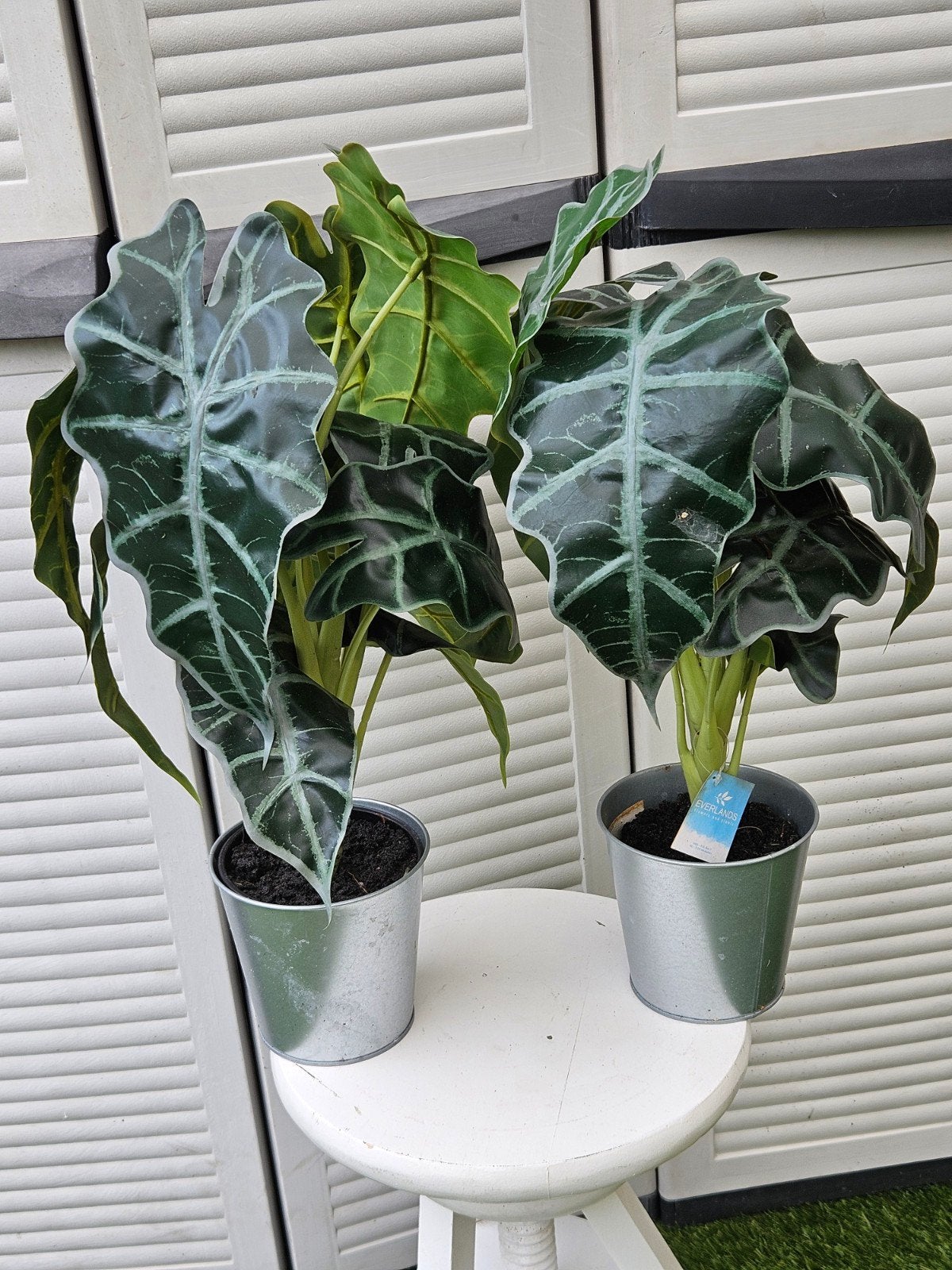 2x Everlands Kunstplanten met gratis Ikea potjes, Ophalen of Verzenden