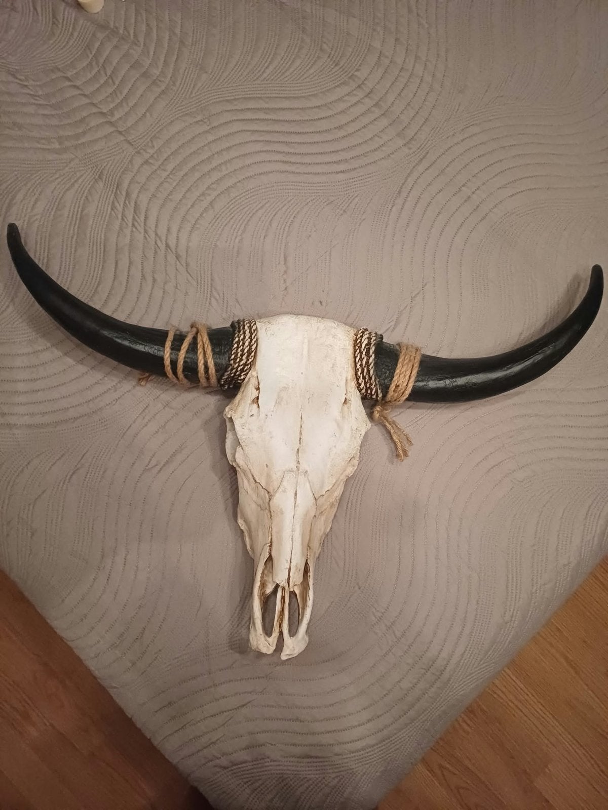 Mooie decoratieve schedel, 79x55 cm, Ophalen, Gebruikt, Overige materialen, Overige stijlen