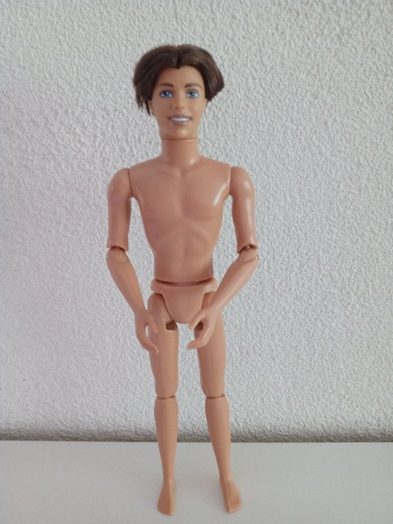 Uit de film Barbie en de Magie van Pegasus - AIDAN, Ophalen of Verzenden, Gebruikt, Pop